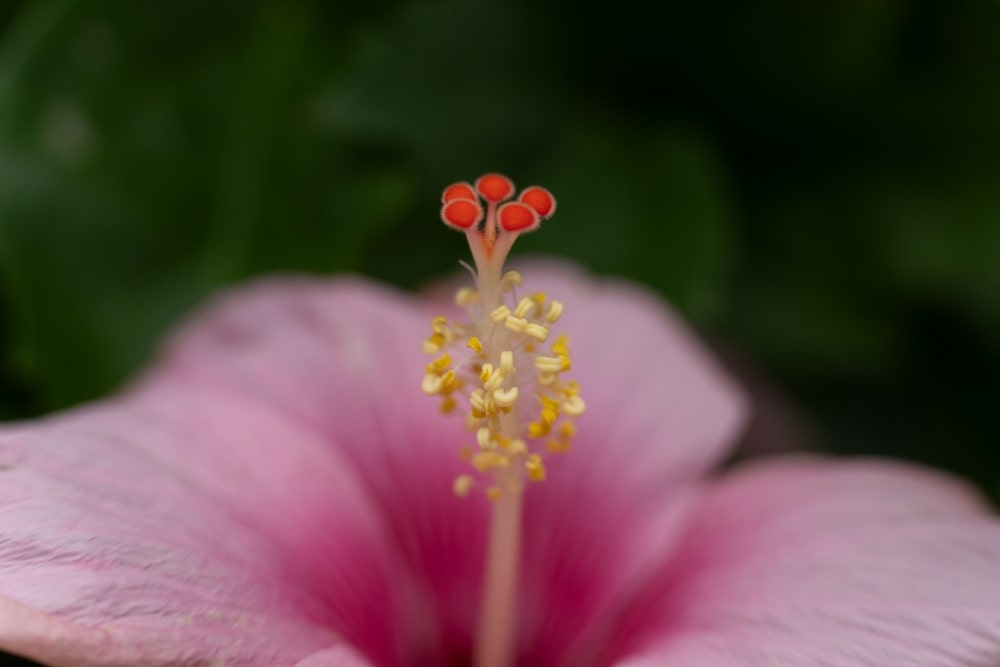  TAMRON 50-300mm f/4.5-6.3 (Model A069)　焦距：50mm　光圈：f/4.5　快門：1/60秒　ISO感光度：800